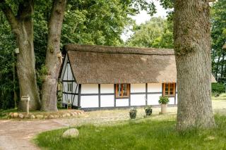 Romantic Nights Under The Thatched Roof - 0