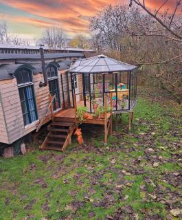 Tiny Haus - Sternenblick - Sauna - 8