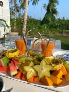 The black monkey villa - 4