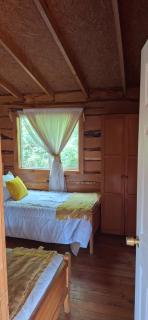 Cabaña Zúñiga Llancabure - 1