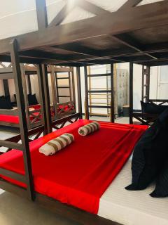 White Lion Paradise Dikwella - 8