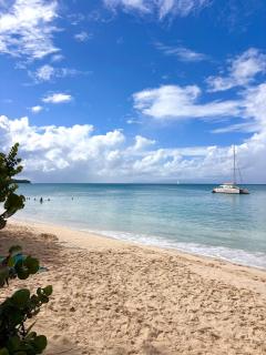 Colibri Rouj - Bungalow Cosy, proche Plage - 6