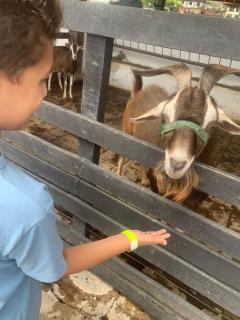 Flat studio monte castelo gravatá PE - 5