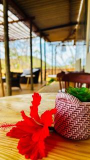 Shalon Adonai by Martinelli - 1