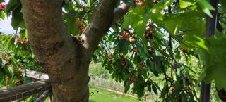 La Casa della Sosta di Fano - 4