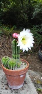 La Casa della Sosta di Fano - 2