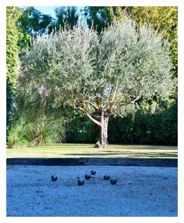 la villa "Loane" à St Paul trois Chateaux - 2