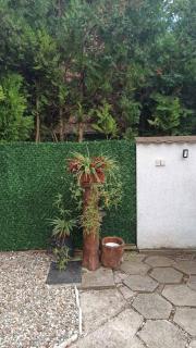 Apartman Palić Libero - 2