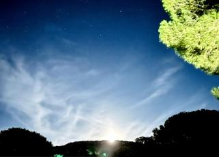 Villa with pool near Porto-Vecchio beaches - 4