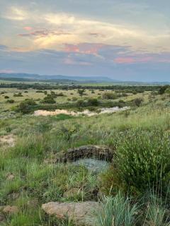 Sanctuary life guest farm - 5