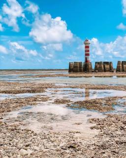Casa inteira em Maceió- perto da praia - 8