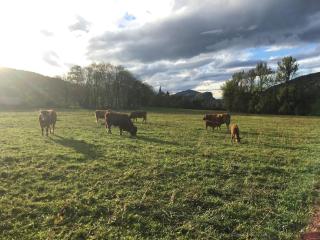 Apparemment spacieux - 5