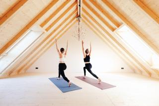 Premium Ferienhaus Das Farmhaus - Auf den Moselhöhen - Pool, Sauna, Kino, Garten - 7