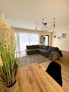 Casele din padure - 7