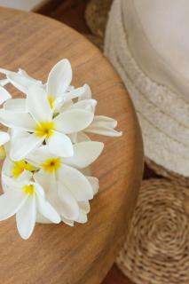 Casa Santa Maria Tatajuba - 1