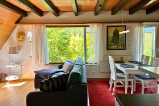 Haus Löwe - Komplettes Ferienhaus am Badesee - Erzgrube - 3