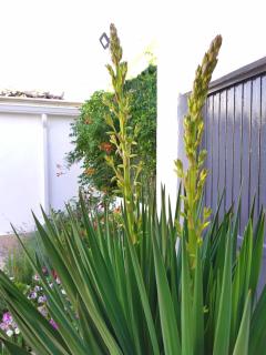 Casa Rural - Casa Eufemia - 4