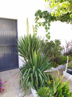 Casa Rural - Casa Eufemia - 5