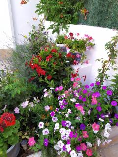 Casa Rural - Casa Eufemia - 7