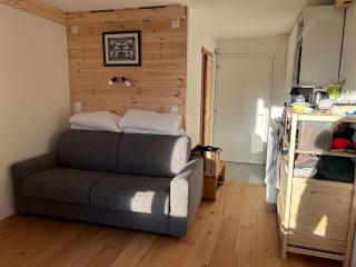 Central studio in Villars sur Ollon, Emeraude, for 3 only 100m to Bretaye ski train - 7