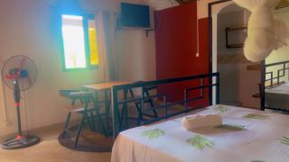 Le jardin des délices - Mahajanga - 6