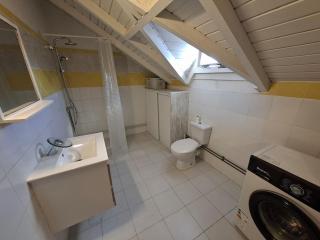 Spacious 2 beds flat in Grande-Terre center - 4