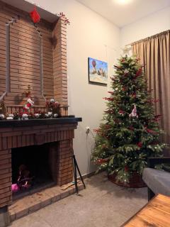 Cottage Mountain Dew in Bakuriani - 5