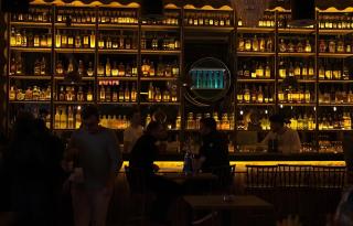 Elephant In The Room - Istanbul - 7