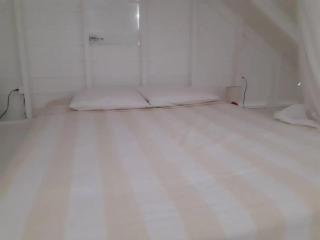 Bungalow avec Jacuzzi près de Grand-Bourg - 39 m² - 4