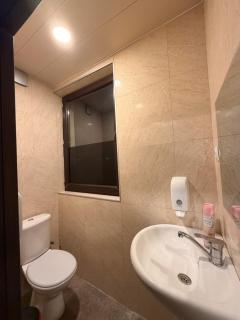 Cottage Mountain Dew in Bakuriani - 6