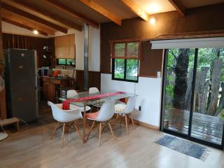 Cabaña madera y barro (bioconstrucción) - 4