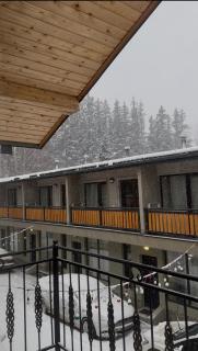 Cottage Mountain Dew in Bakuriani - 8