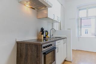 Comfortable 2BR Apartment Near Burggasse - 6