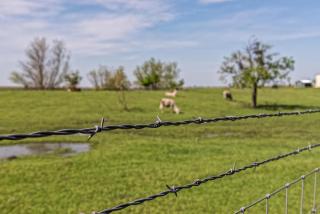 Silo House At Laughing Llama Farm - 8