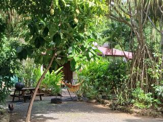 Résidence Les MANGUIERS OTANTIK - 9