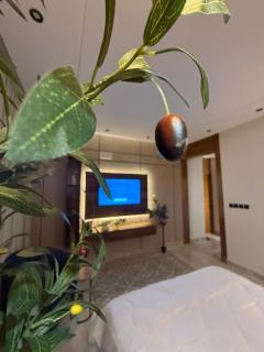 استديو القمة - 8