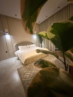 استديو القمة - 4