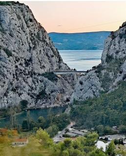 Morska postelja - Sea bed - 3