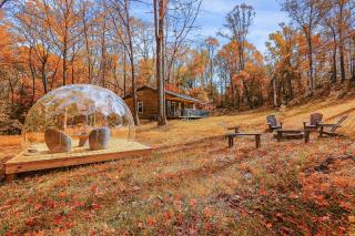 Cabin with King Bed , XBOX, HotTub, Games, Firepit , Stargazing Dome - 1