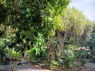 Résidence Les MANGUIERS OTANTIK - 0