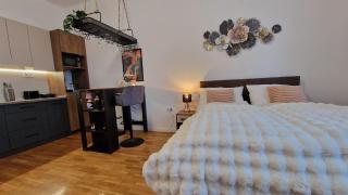 Boudoir-Art Studio Apartment - 3