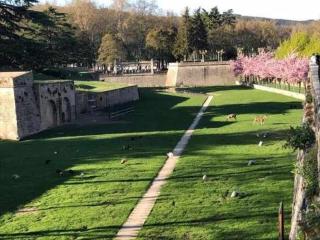 Loft San Francisco 26 - Pamplona - 1