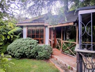 Cabaña 2 personas Pétalos Villarrica - 6