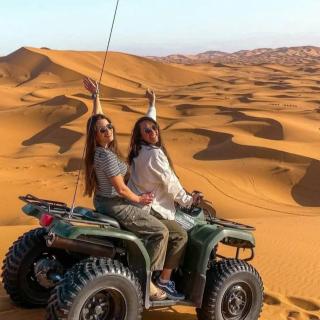 Under 1000 Stars Camp - 4