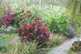 Casa de la Diversidad - La Casita - Ojochal - 5