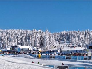 Woodside Kopaonik & SPA by Slopeview - 8