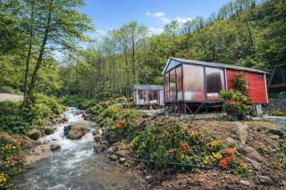 Eça River Bungalov - 7