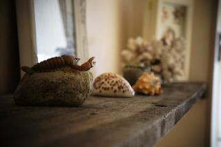 B&B Oesterhoeve - Ostende - 3