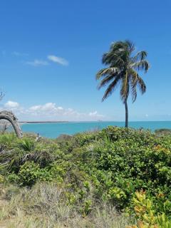 Pousada Tropical dos Corais - 1