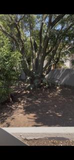 Sandton Holiday Home - 8